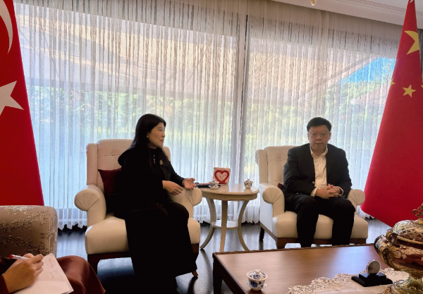 副本访问土耳其新闻稿-10.21160