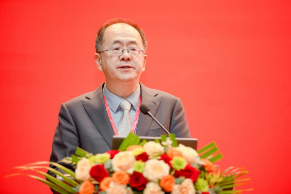 副本2024外语教学研究分会学术年会新闻稿-OA655